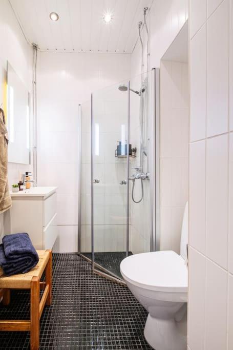 Appartement Lux In Downtown Helsinki